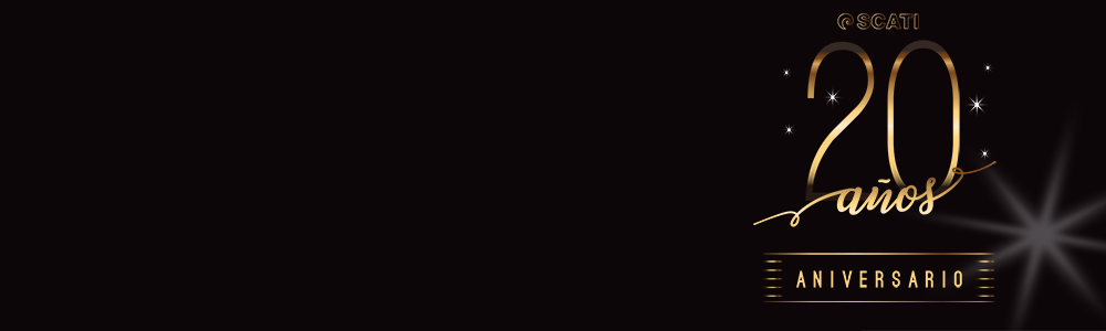 11017g