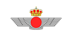 EJERCITO AIRE 2